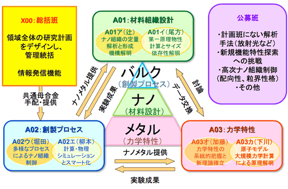 図３　本領域の研究組織